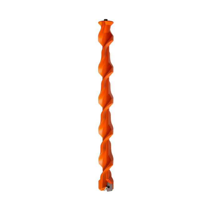Orange Fox sneeuwboren